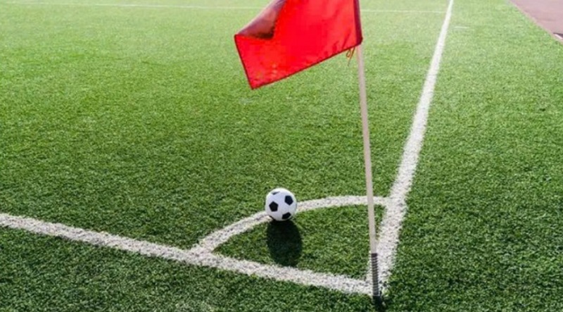 Tham khảo nhận định từ chuyên gia để thêm sự chuẩn xác